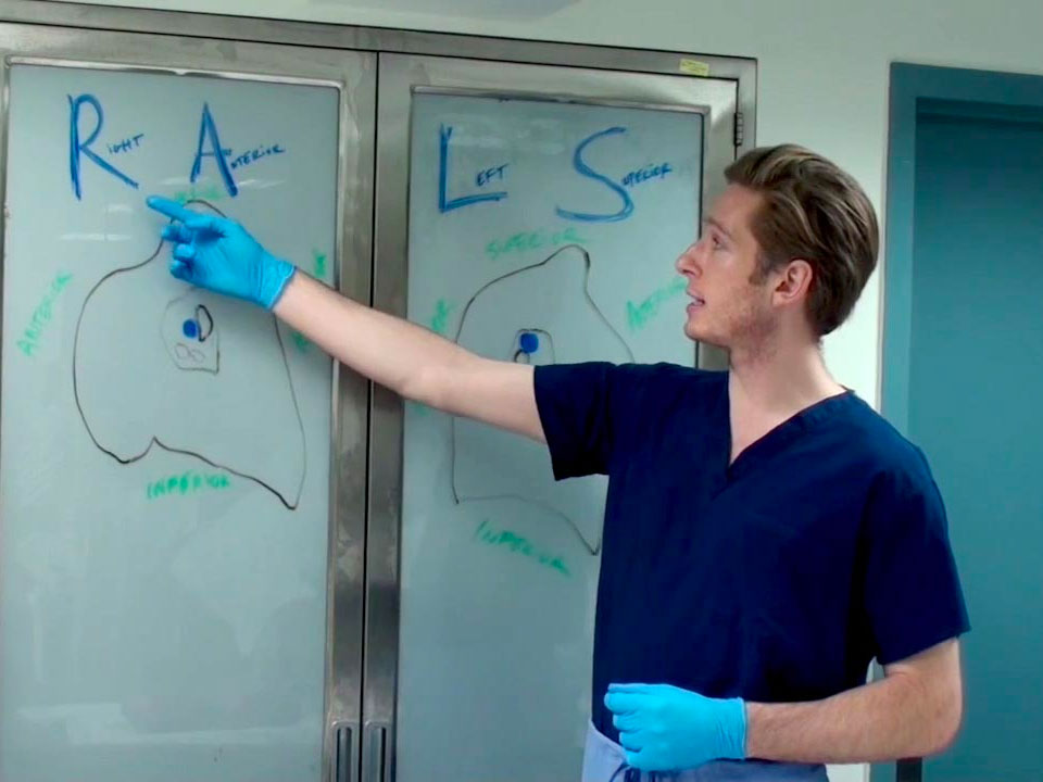 cardiothoracic-dissection